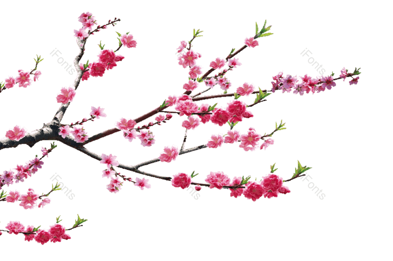 水墨图片,中国风元素,春节PNG,过年免抠素材